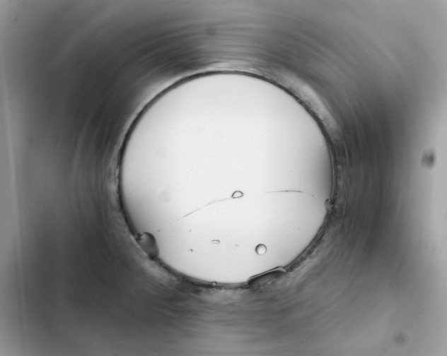 X0000101951284200808151244