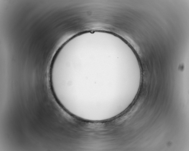 X0000101951285200808151244