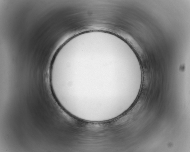 X0000101951286200808151244