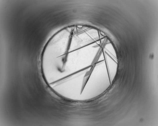 X0000101951287200808151244