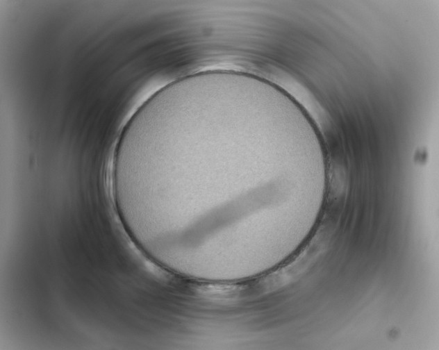 X0000101951290200808151244