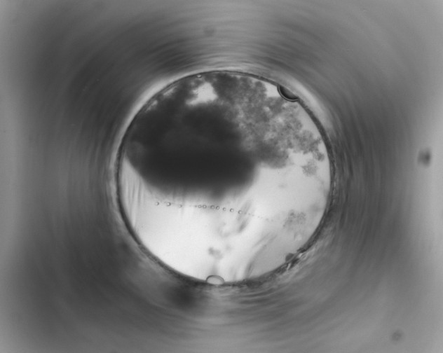 X0000101951291200808151244