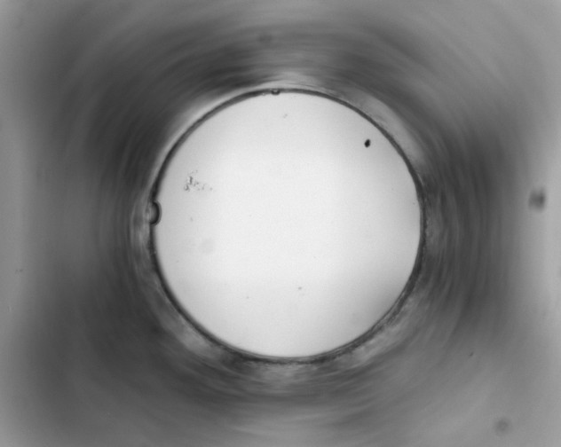 X0000101951292200808151244