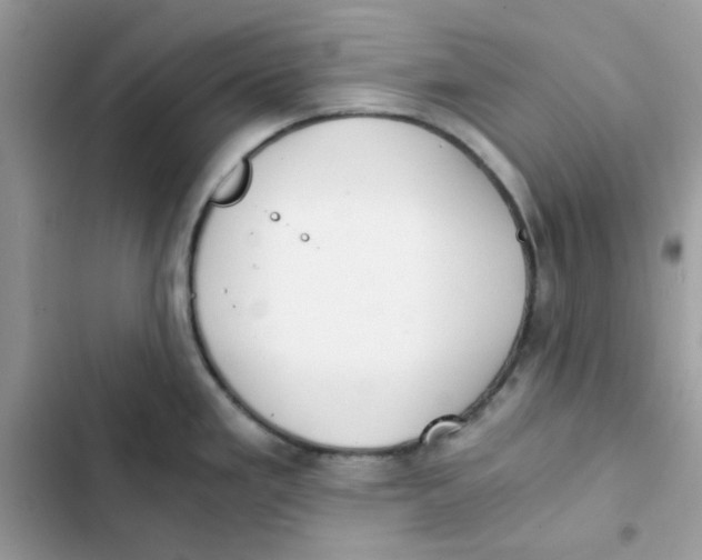 X0000101951293200808151244