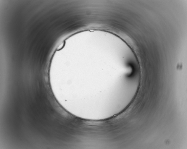 X0000101951296200808151244