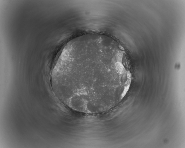 X0000101951297200808151243