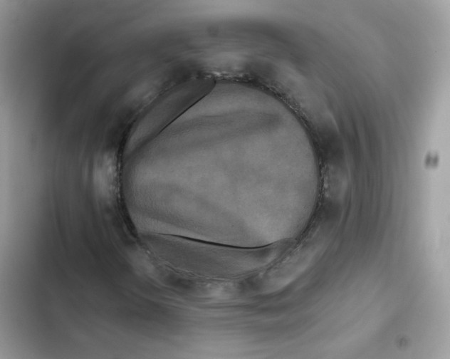 X0000101951298200808151243