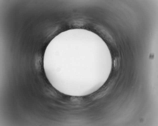 X0000101951299200808151244