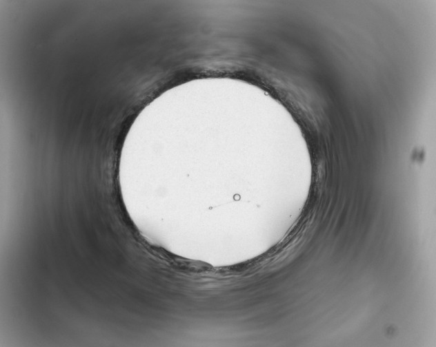 X0000101951300200808151244