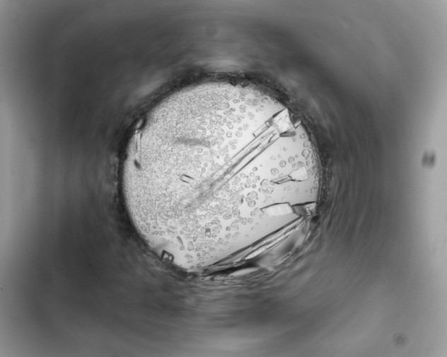 X0000101951301200808151244