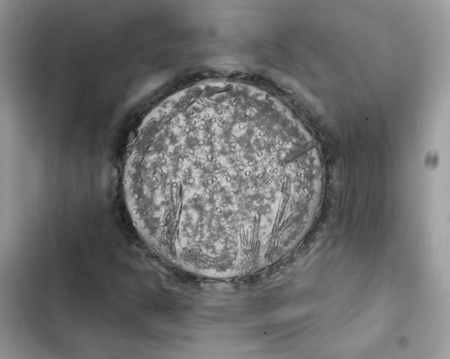 X0000101951302200808151244