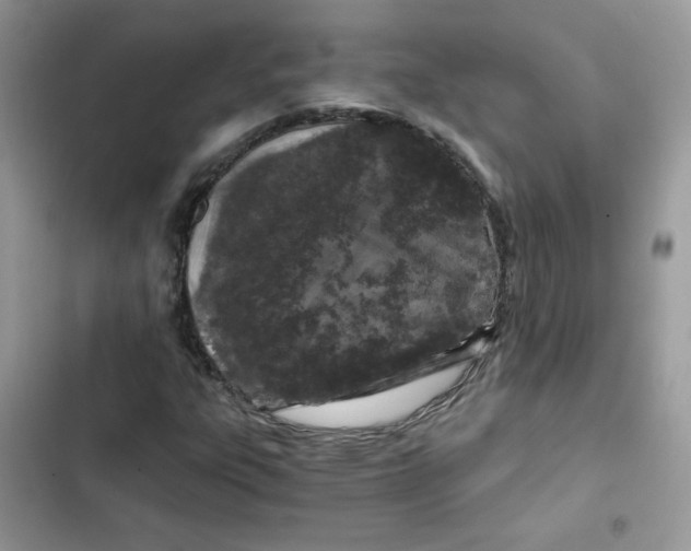 X0000101951303200808151244