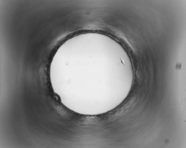 X0000101951304200808151244