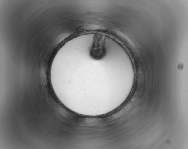 X0000101951305200808151244