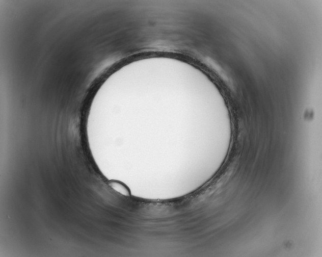 X0000101951307200808151244