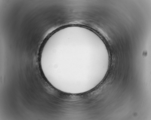 X0000101951308200808151244