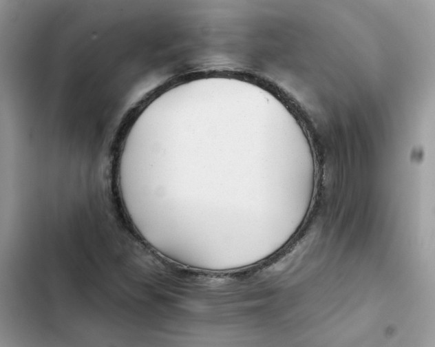 X0000101951309200808151244