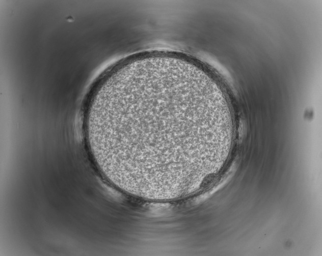 X0000101951310200808151244