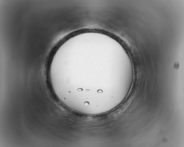 X0000101951311200808151244