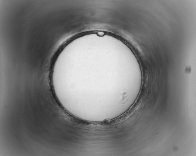 X0000101951312200808151244