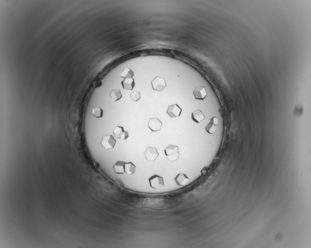 X0000101951313200808151244