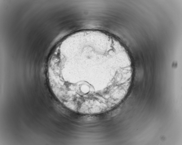 X0000101951314200808151244