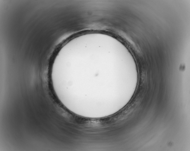 X0000101951315200808151244