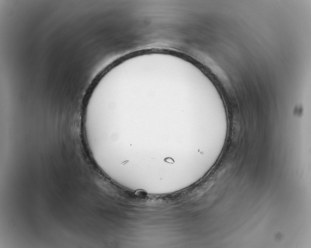 X0000101951316200808151244