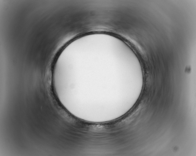 X0000101951317200808151244