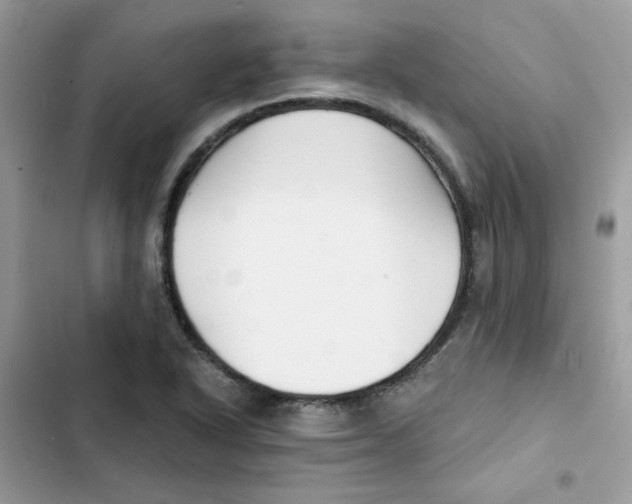 X0000101951318200808151244
