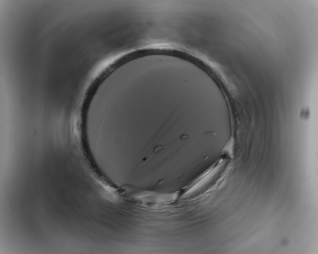 X0000101951319200808151244