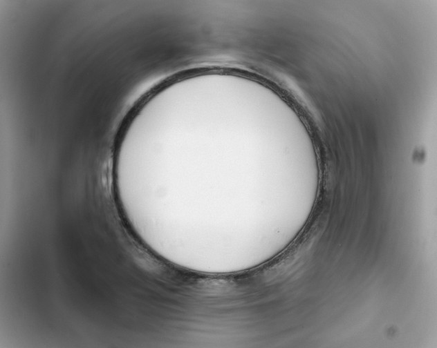 X0000101951320200808151244