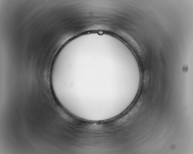 X0000101951321200808151244