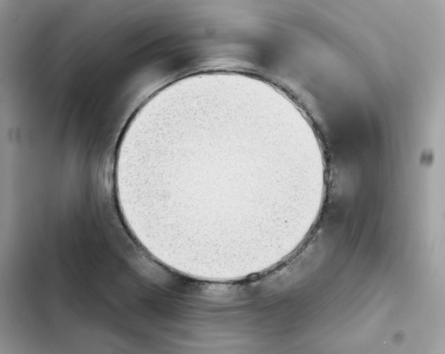 X0000101951322200808151244
