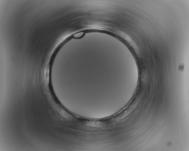 X0000101951323200808151244