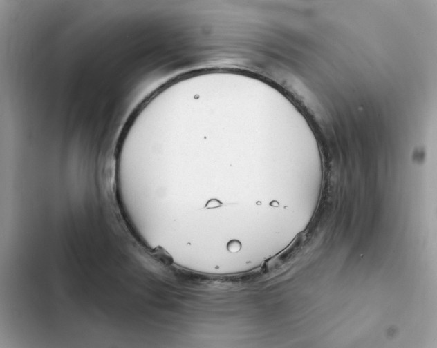 X0000101951324200808151244