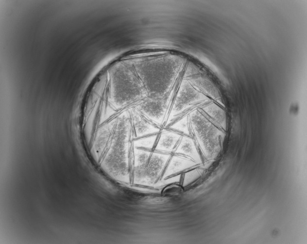 X0000101951325200808151244