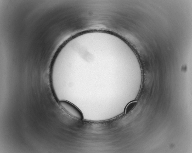 X0000101951326200808151244