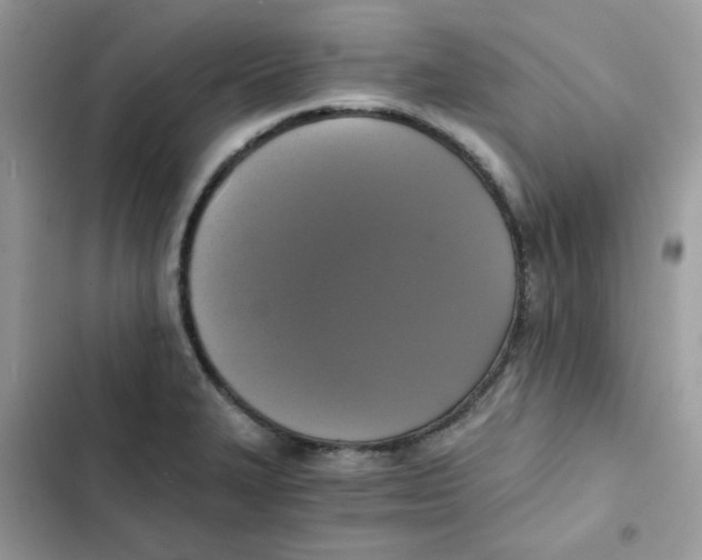 X0000101951327200808151244
