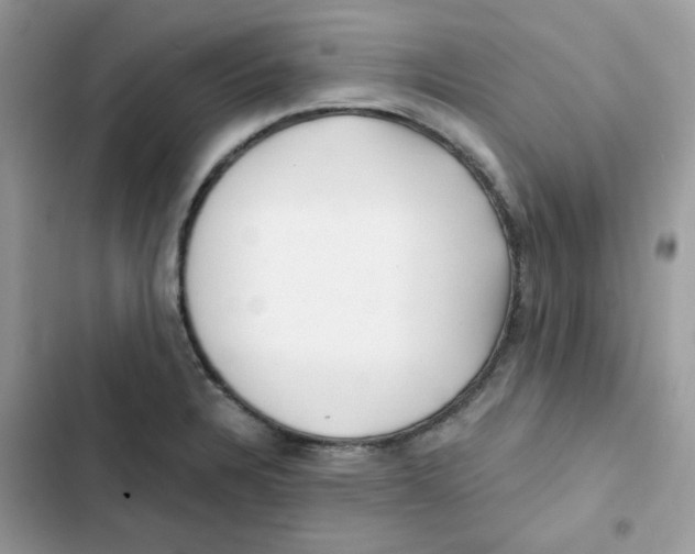 X0000101951328200808151244