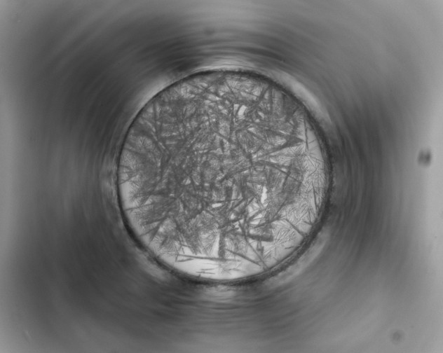 X0000101951329200808151244