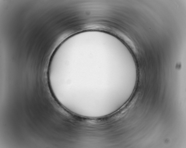 X0000101951330200808151244