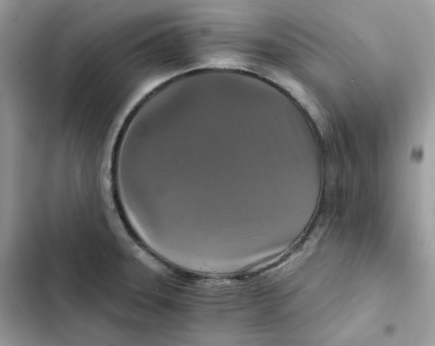 X0000101951331200808151244