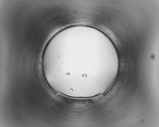 X0000101951332200808151244