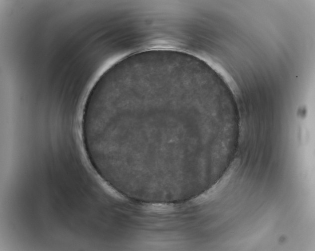 X0000101951333200808151244