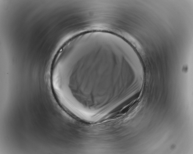 X0000101951334200808151244