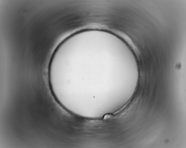 X0000101951335200808151244