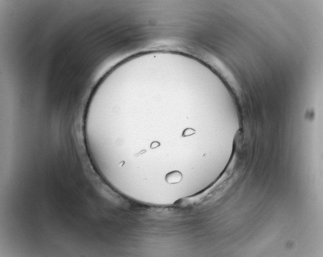 X0000101951336200808151244