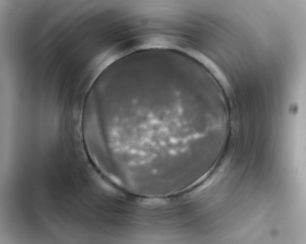 X0000101951337200808151244