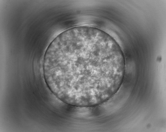 X0000101951338200808151244